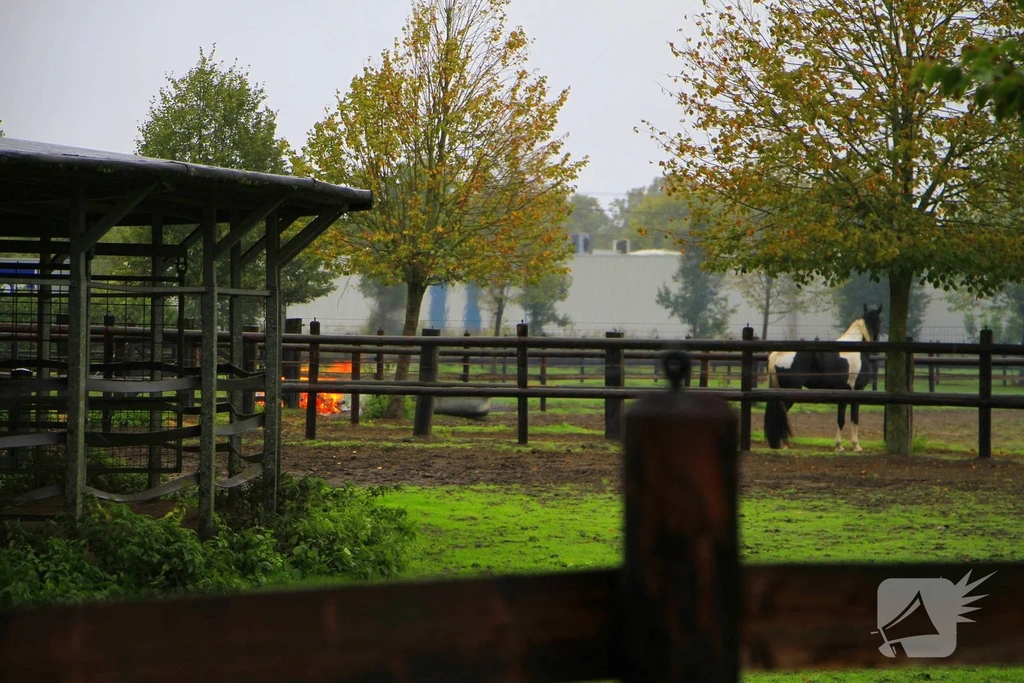 Koekoeksweg Nieuws Weert 