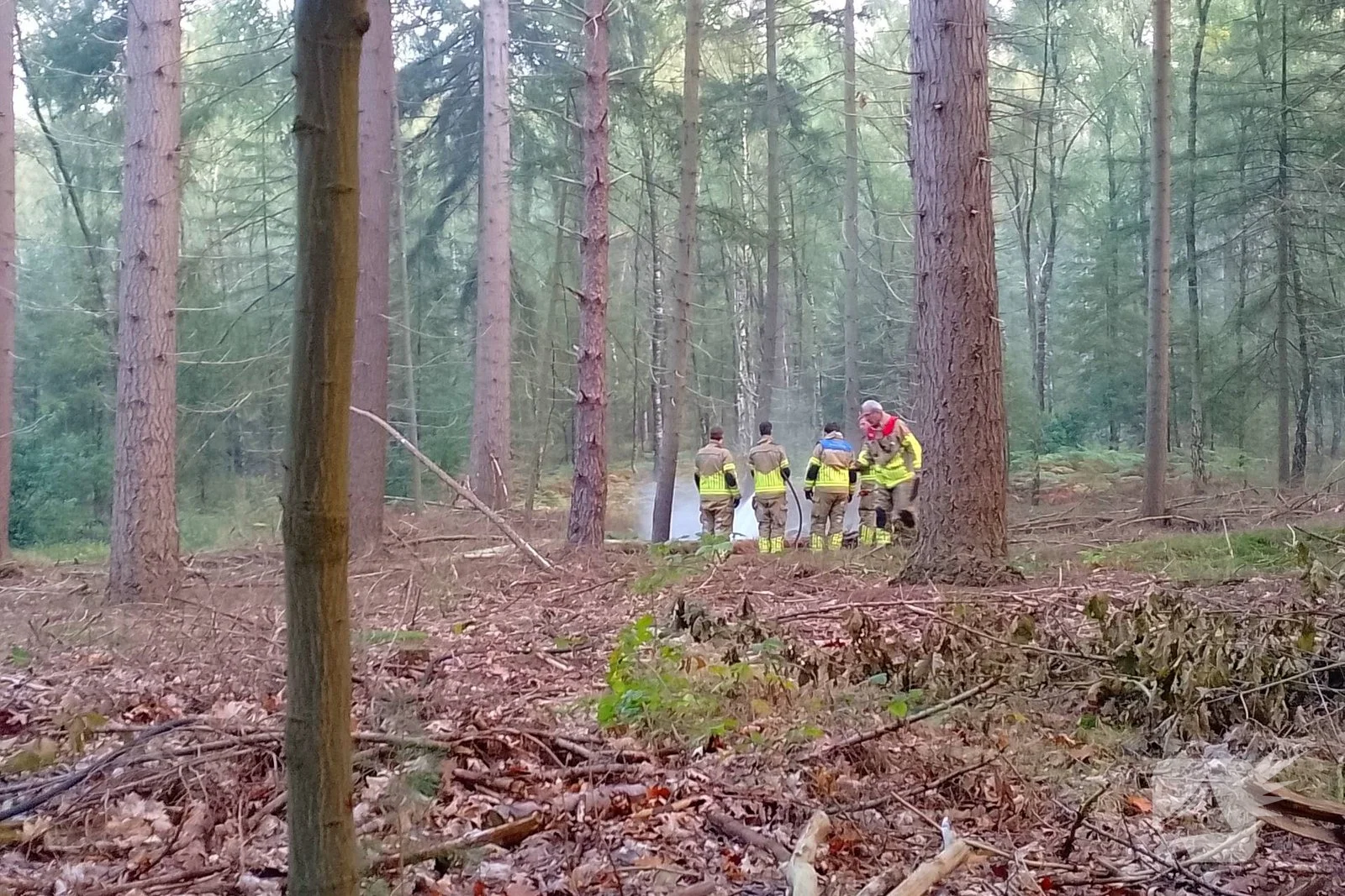 Brandweer blust brand in bosschage