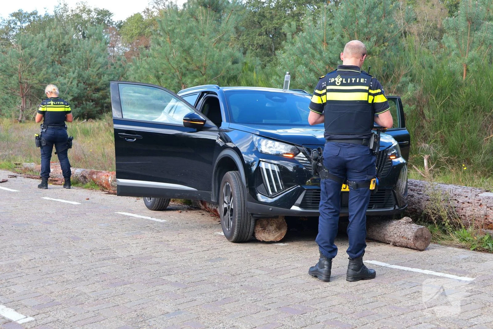 Auto botst op boomstammen na eenzijdig ongeval