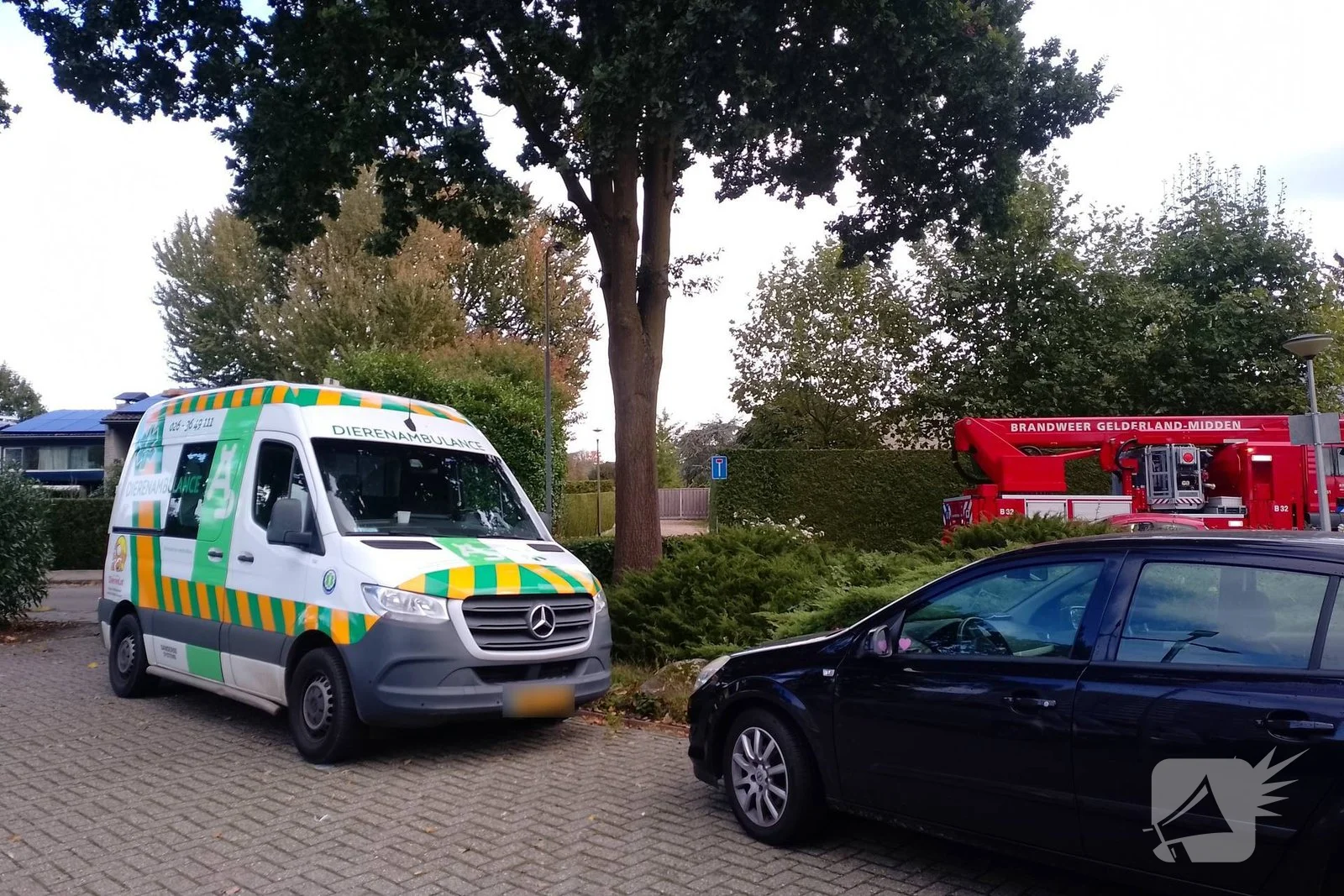 Reddingsactie eindigt vliegensvlug