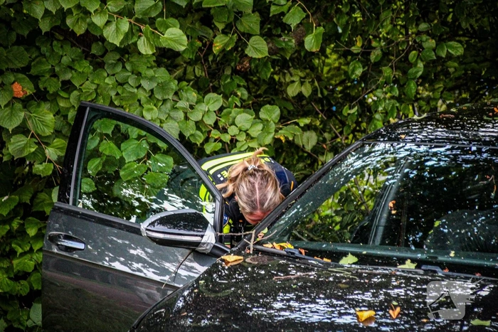 Auto crasht in bosjes na ongeval