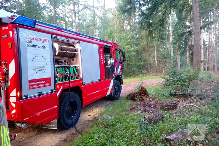 Brandweer blust brand in bosschage