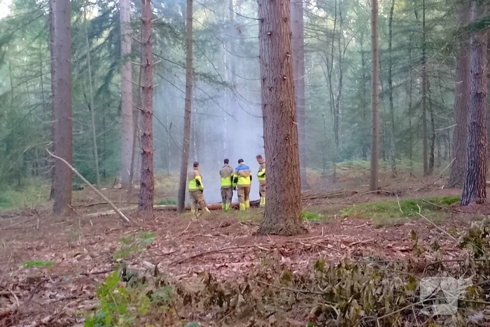 Brandweer blust brand in bosschage