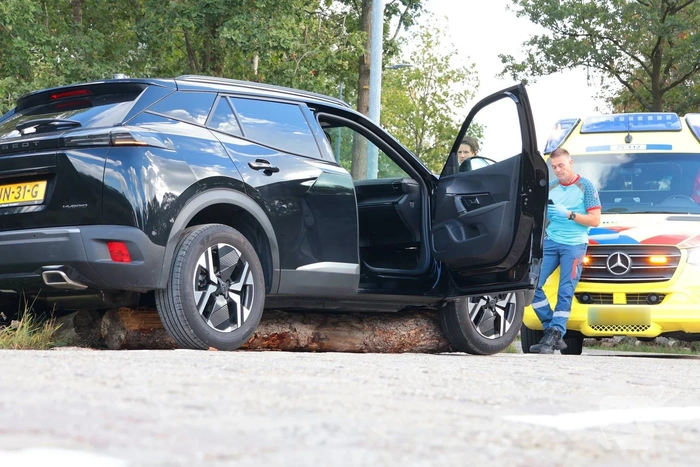 Auto botst op boomstammen na eenzijdig ongeval
