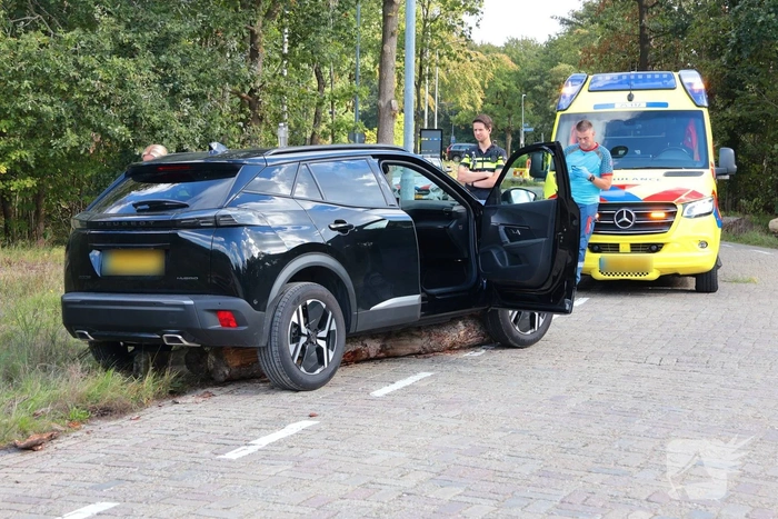 Auto botst op boomstammen na eenzijdig ongeval