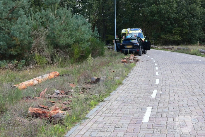 Auto botst op boomstammen na eenzijdig ongeval