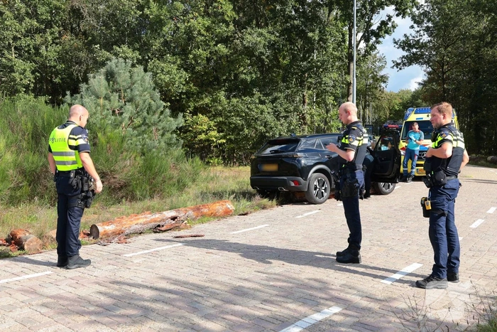 Auto botst op boomstammen na eenzijdig ongeval