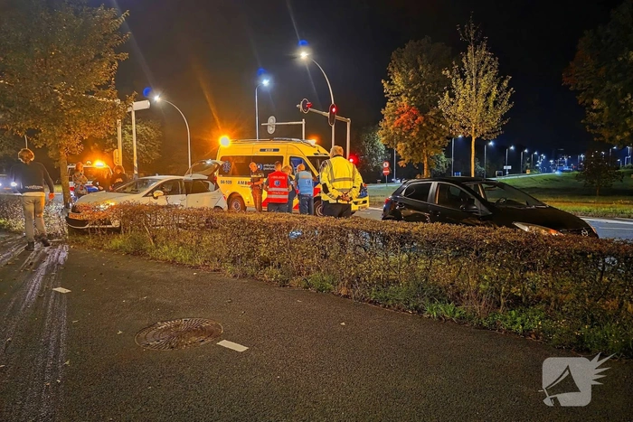 Automobilist ramt boom en raakt gewond