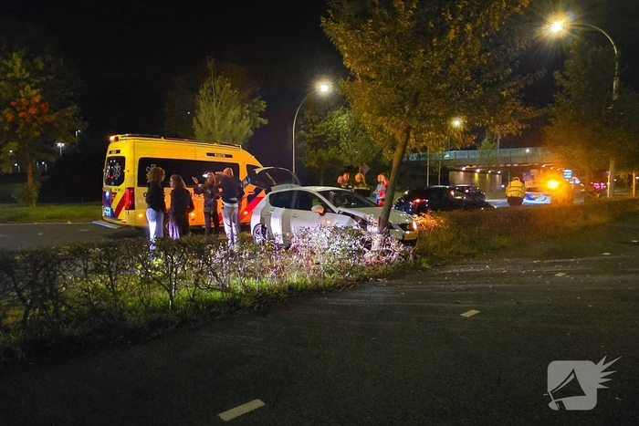 Automobilist ramt boom en raakt gewond