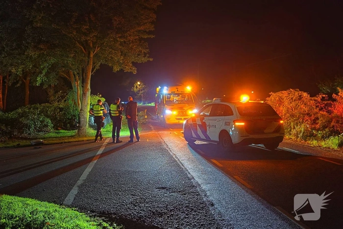 Busje botst tegen boom