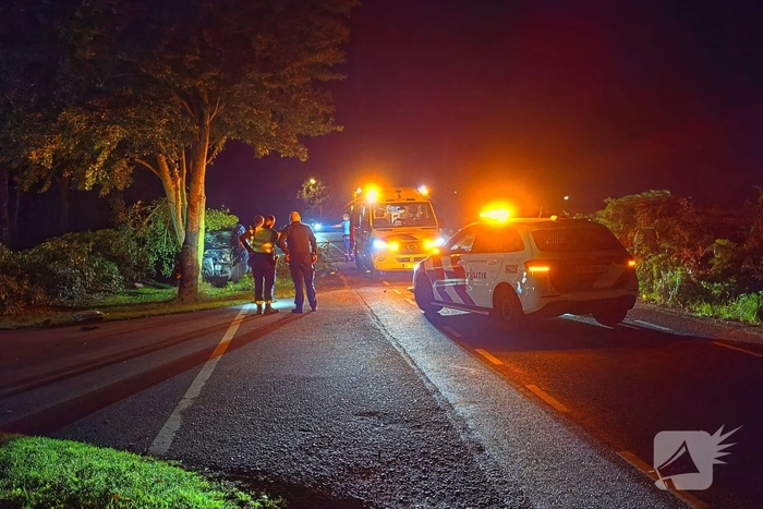 Busje botst tegen boom