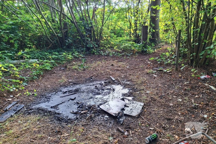 Brandweer dooft brand in bos