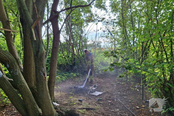 Brandweer dooft brand in bos