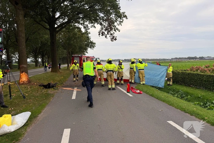 Automobilist botst tegen boom