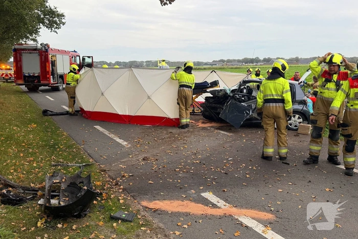 Automobilist botst tegen boom