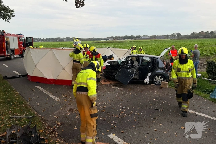 Automobilist botst tegen boom