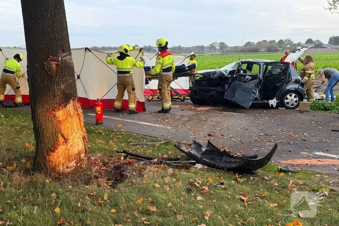 Automobilist botst tegen boom