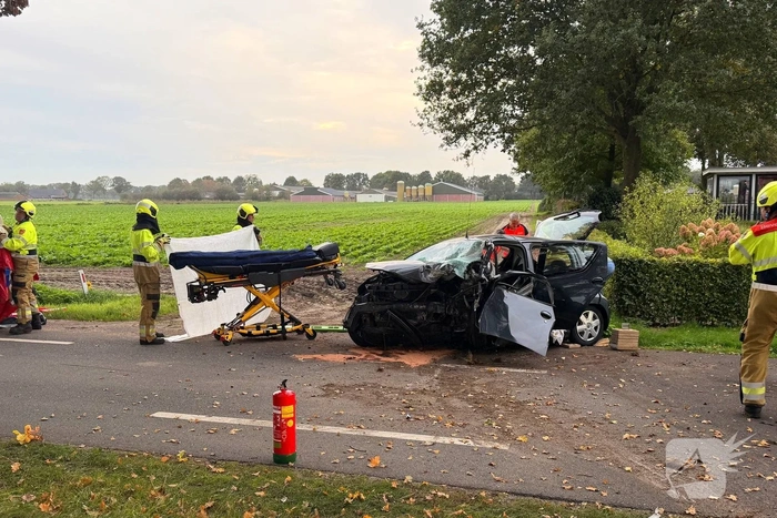 Automobilist botst tegen boom