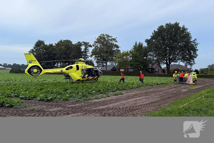 Automobilist botst tegen boom