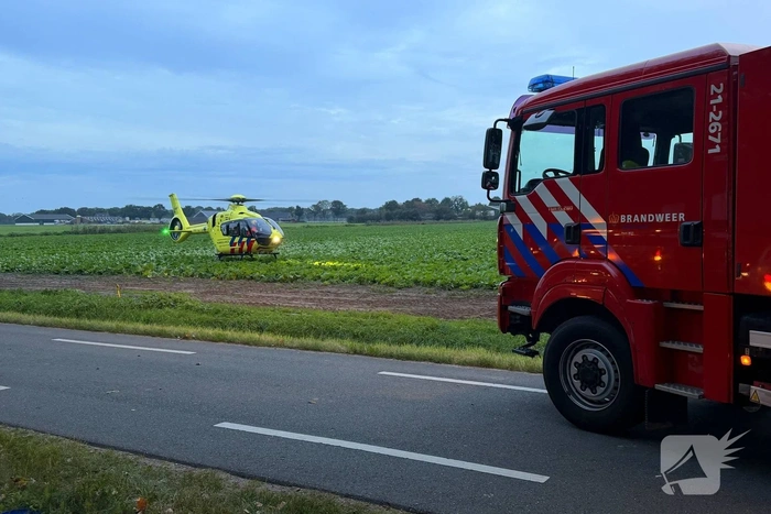 Automobilist botst tegen boom