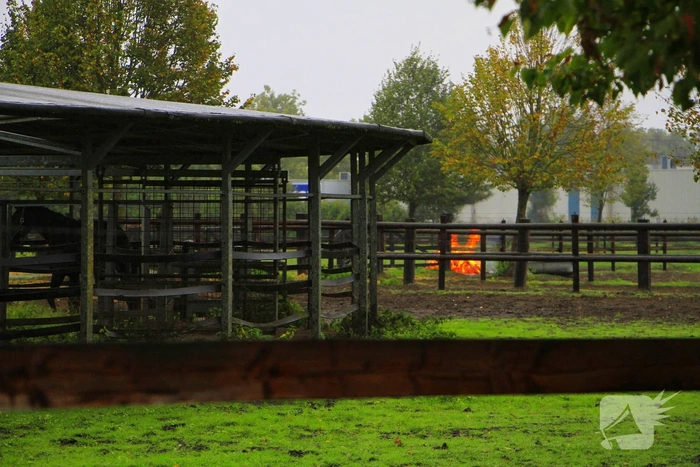 Buitenbrand dreigt te escaleren bij paardenmanege