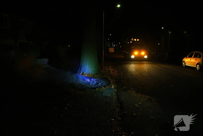 Buitenbrand bij boom veroorzaakt veel rook