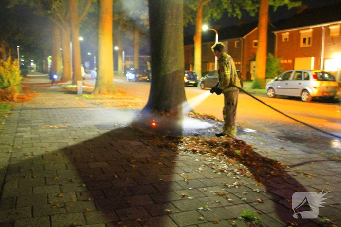 Buitenbrand bij boom veroorzaakt veel rook