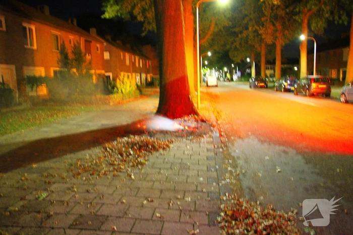 Buitenbrand bij boom veroorzaakt veel rook