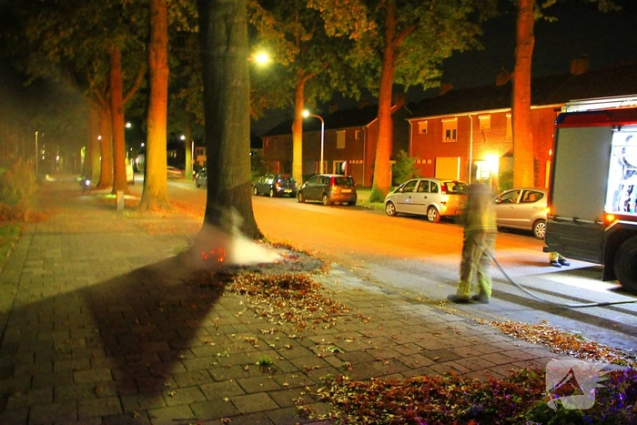 Buitenbrand bij boom veroorzaakt veel rook