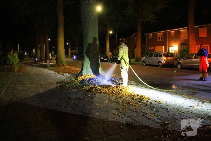 Buitenbrand bij boom veroorzaakt veel rook