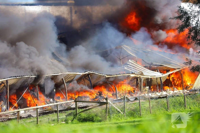 Zeer grote brand in loods vol meubels