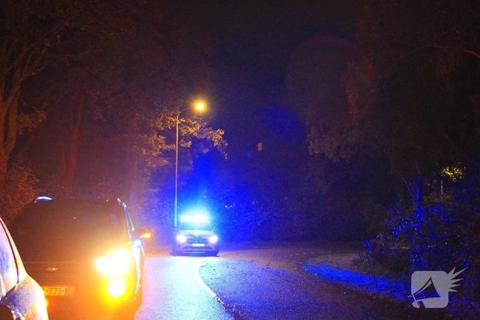 Auto crasht tegen lantaarnpaal na uit de bocht vliegen