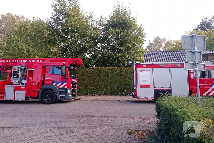 Reddingsactie eindigt vliegensvlug