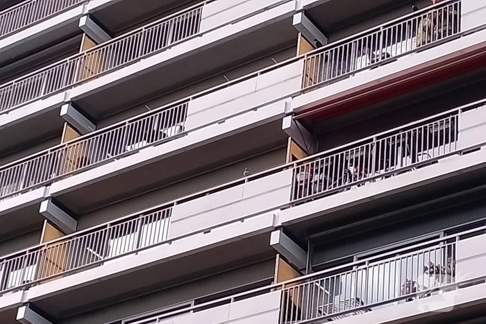Reddingsactie eindigt vliegensvlug