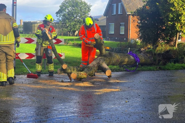 Boom blokkeert weg na ongeval