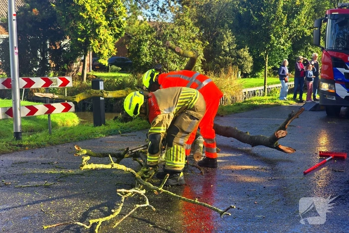 Boom blokkeert weg na ongeval