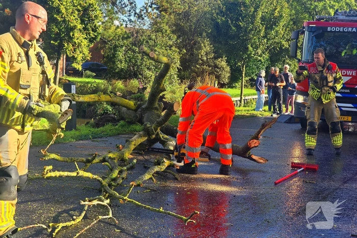 Boom blokkeert weg na ongeval