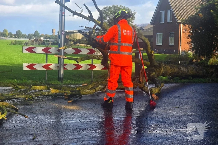 Boom blokkeert weg na ongeval
