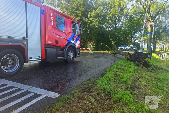 Boom blokkeert weg na ongeval