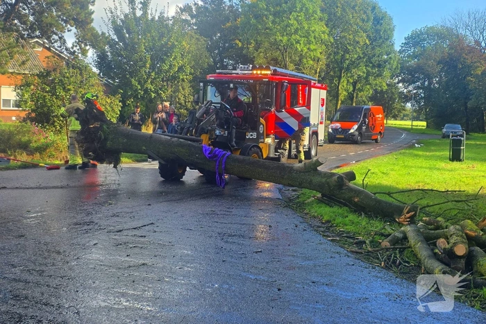 Boom blokkeert weg na ongeval