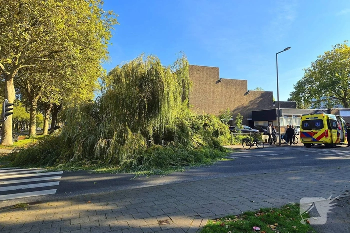 ongeval catullusweg rotterdam