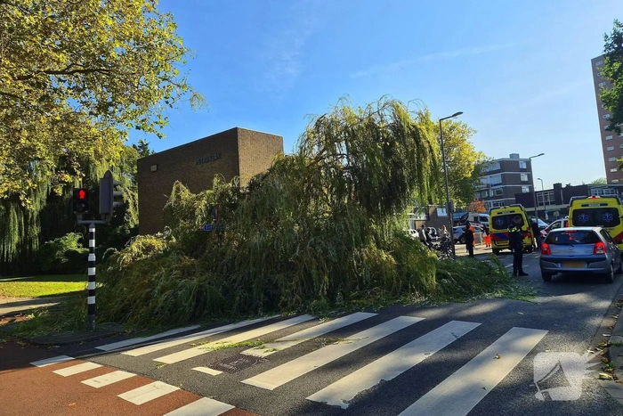 Fietser geraakt door vallende boom