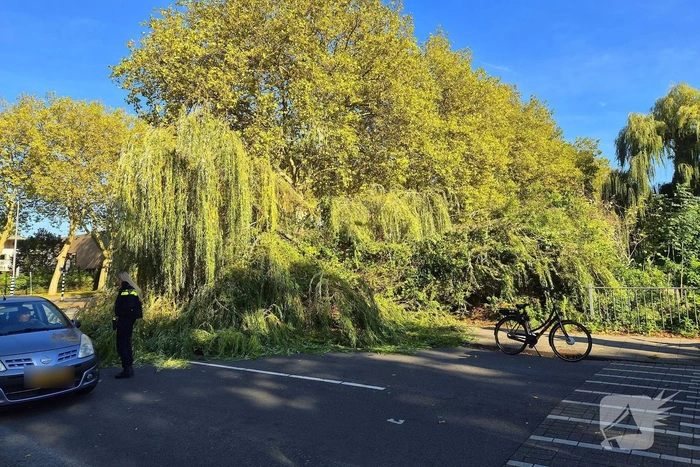 Fietser geraakt door vallende boom