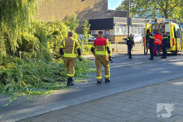 Fietser geraakt door vallende boom