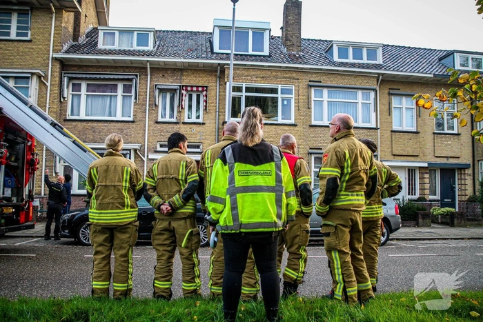 Hulpdiensten proberen kat van dak te halen
