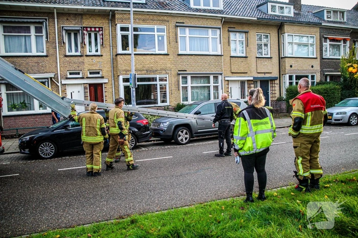 Hulpdiensten proberen kat van dak te halen