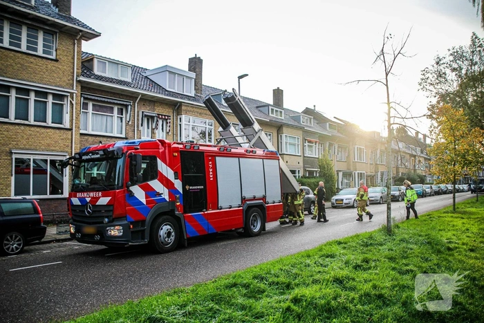 Hulpdiensten proberen kat van dak te halen