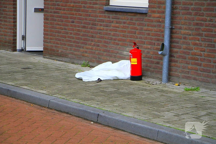 Rookontwikkeling door pannetje veroorzaakt evacuatie
