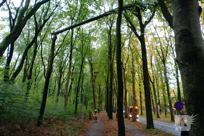 Natuurincident zorgt voor verkeershinder