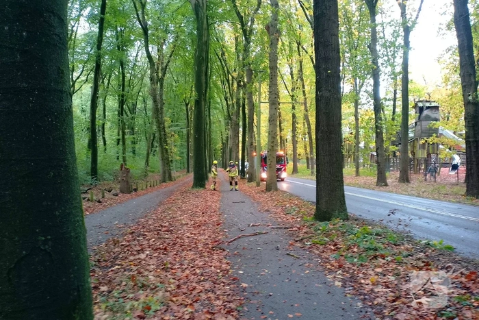 Natuurincident zorgt voor verkeershinder